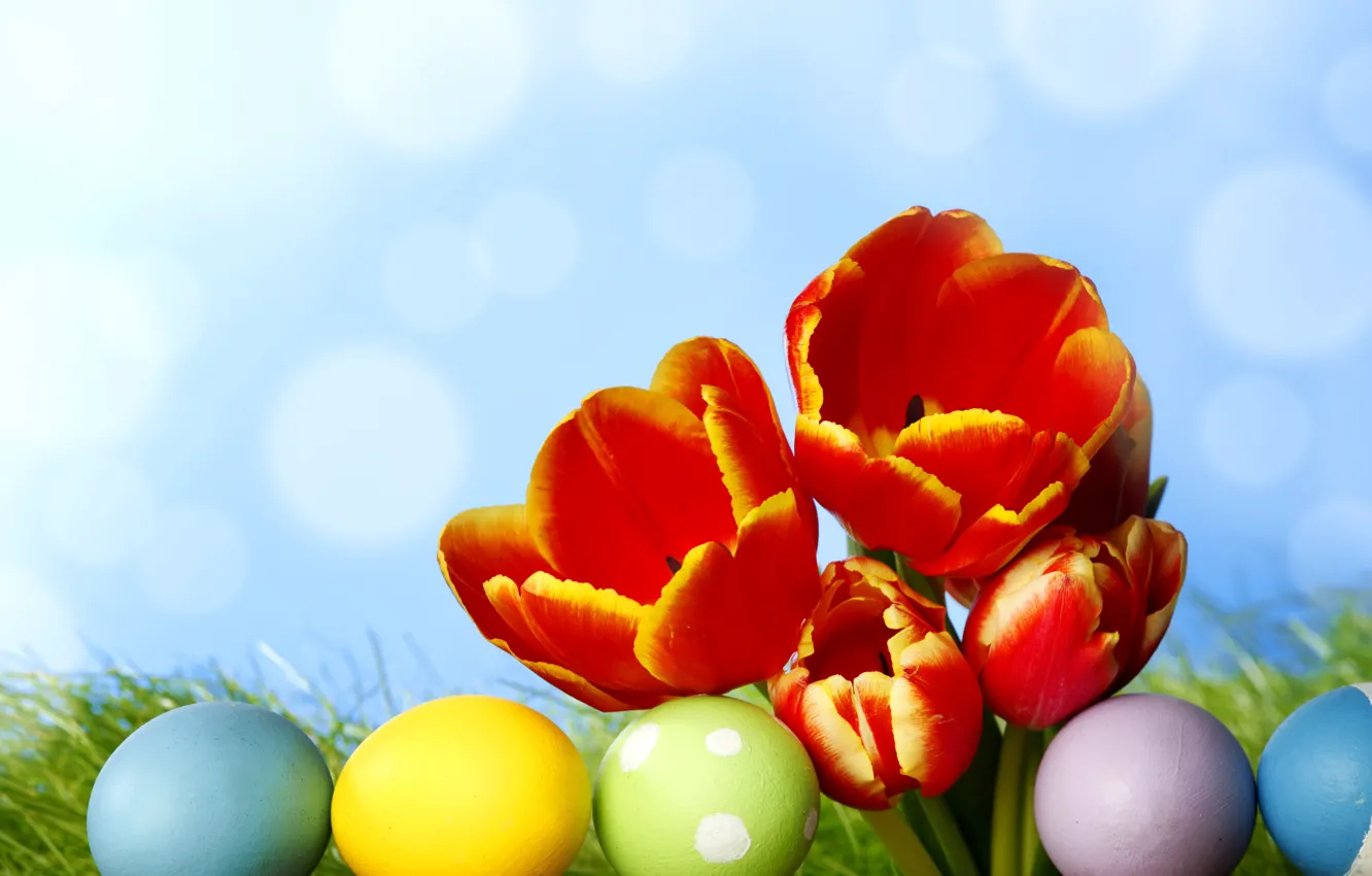 Photo wallpaper grass, flowers, eggs, spring, colorful, Easter, tulips, flowers