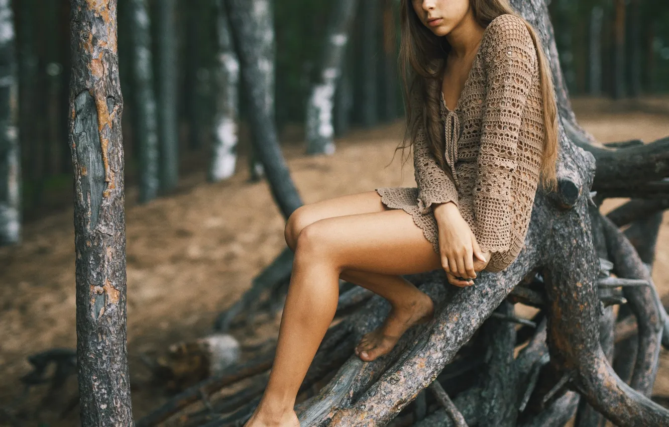 Photo wallpaper forest, trees, sitting, Alina, Evgeny Matveev