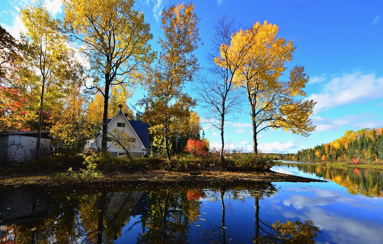 Photo wallpaper autumn, forest, trees, landscape, nature, lake, house, shore