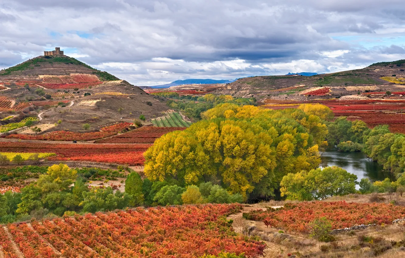 Photo wallpaper field, the sky, trees, mountains, river, valley, fortress