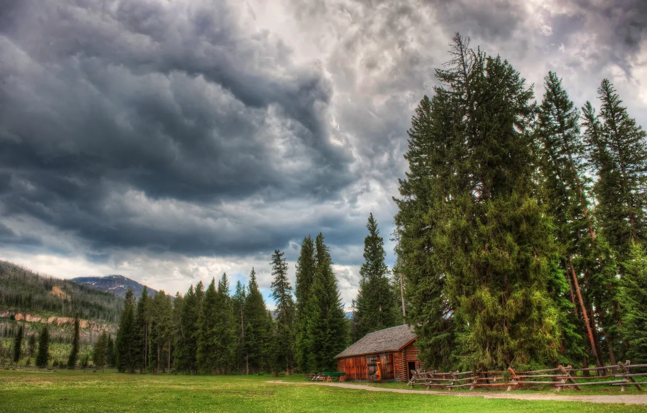 Photo wallpaper forest, grass, trees, mountains, clouds, glade, the fence, HDR