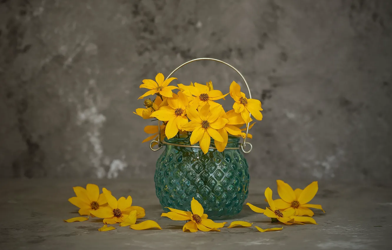 Photo wallpaper flowers, yellow, background, Bank, still life, vase, cosmos