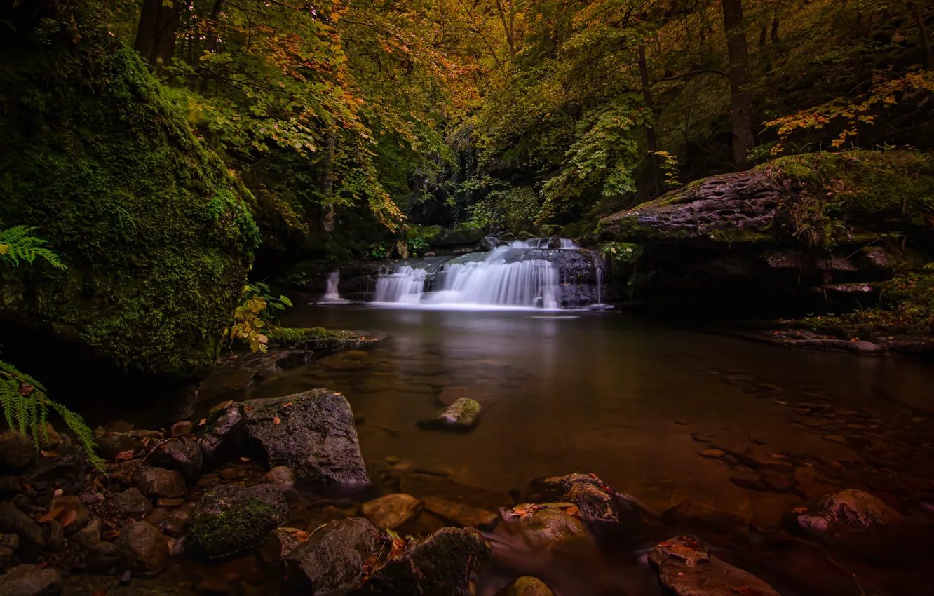Photo wallpaper autumn, forest, trees, the dark background, stones, foliage, waterfall, boulders