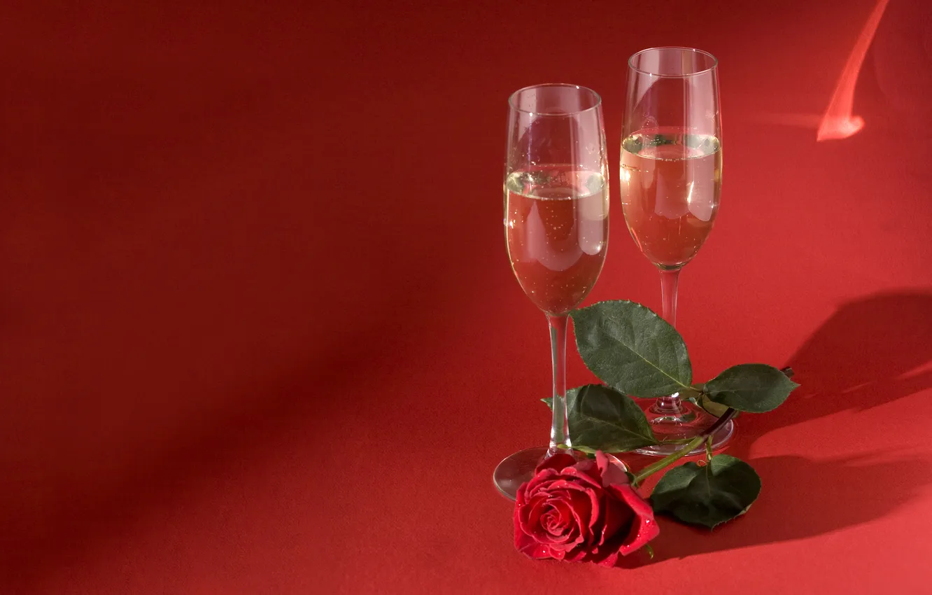 Photo wallpaper flowers, wine, roses, red