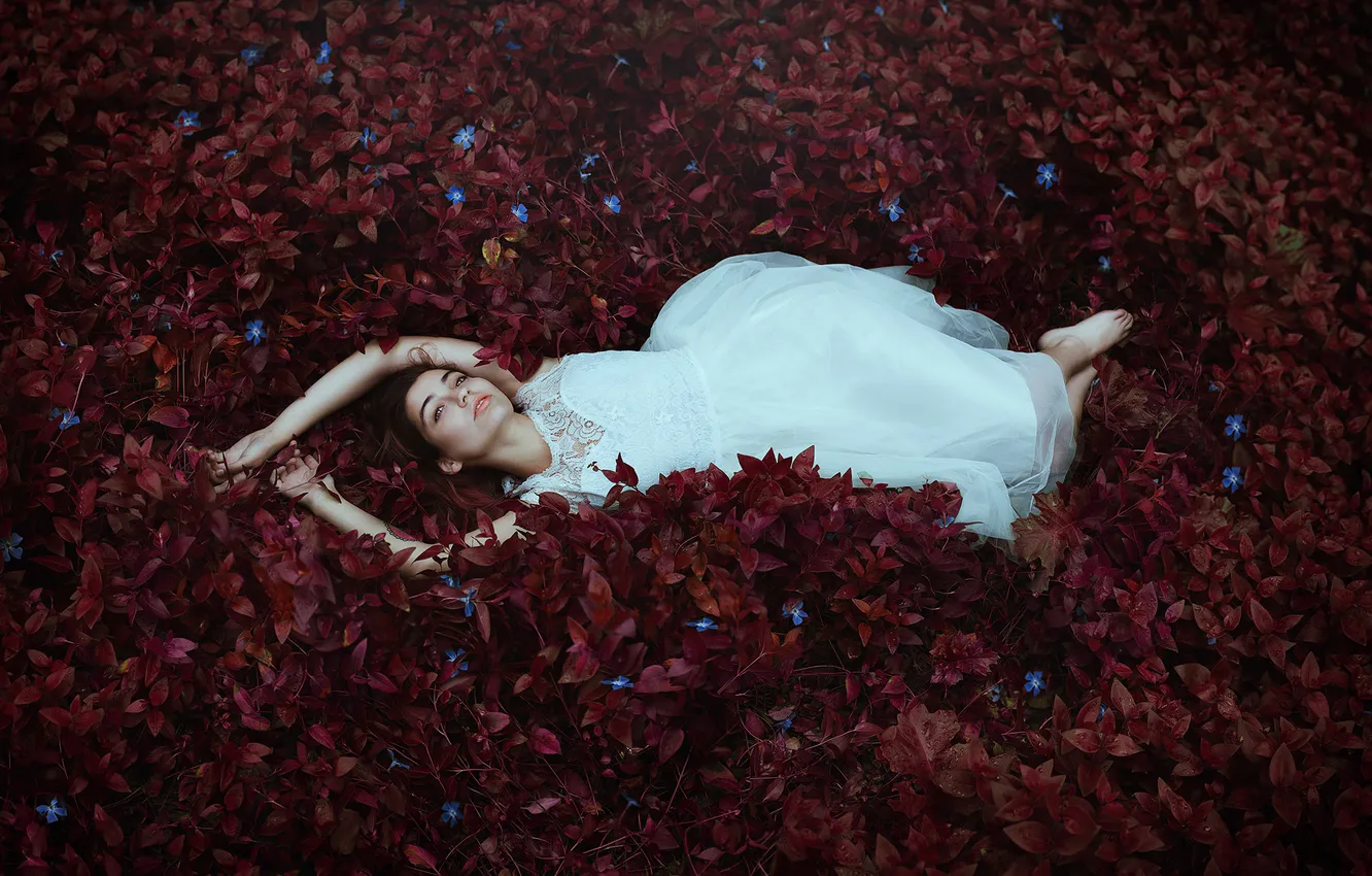 Photo wallpaper forest, eyes, leaves, girl, lips, white dress, lying