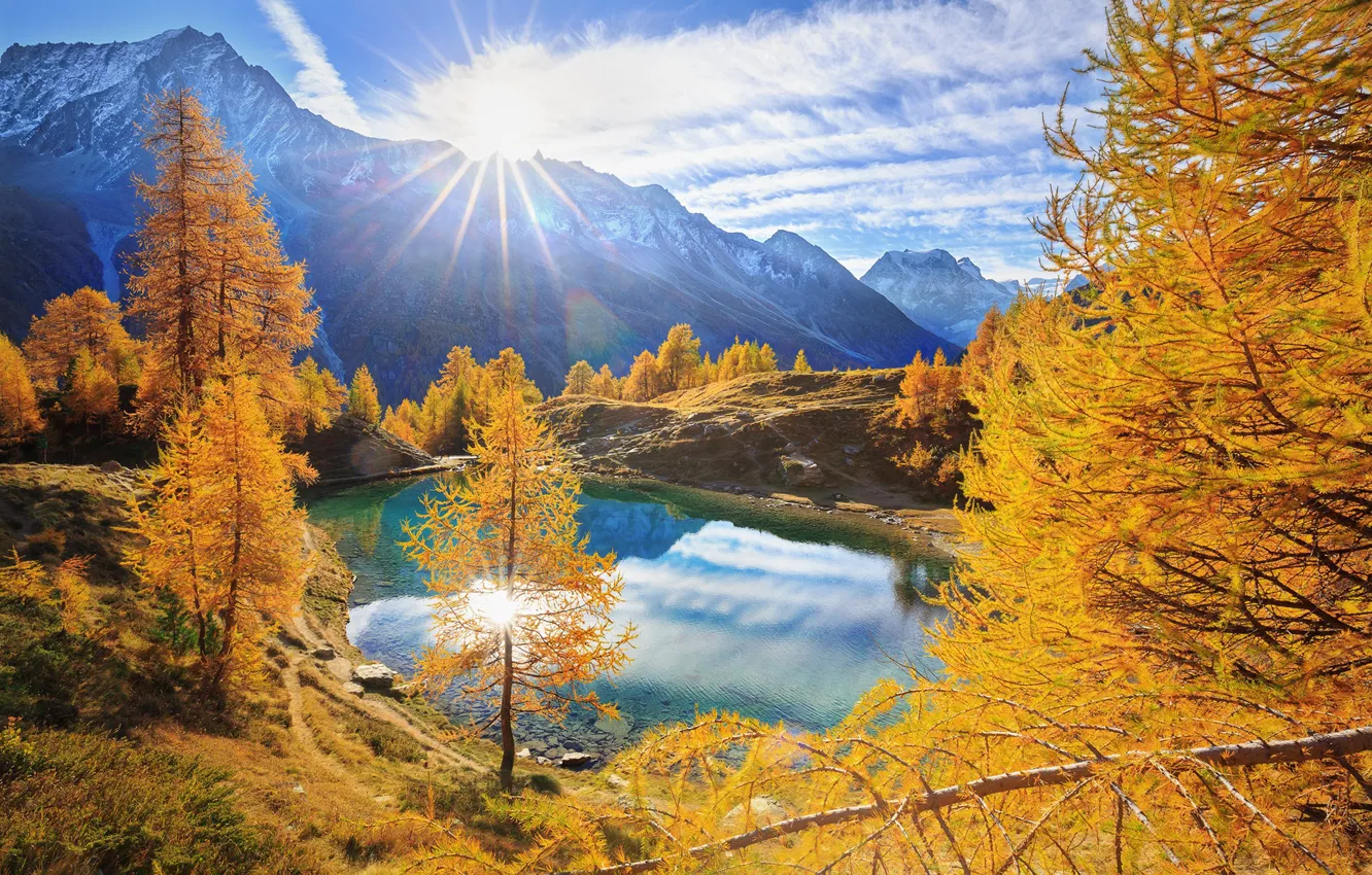 Photo wallpaper trees, mountains, lake, sunrise, dawn, Switzerland, Alps, Blue lake
