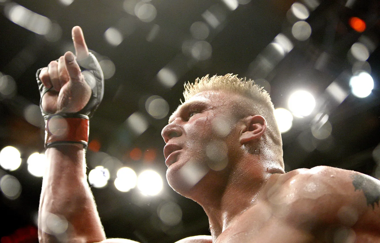 Photo wallpaper Wrestling, Lesnar, Brock