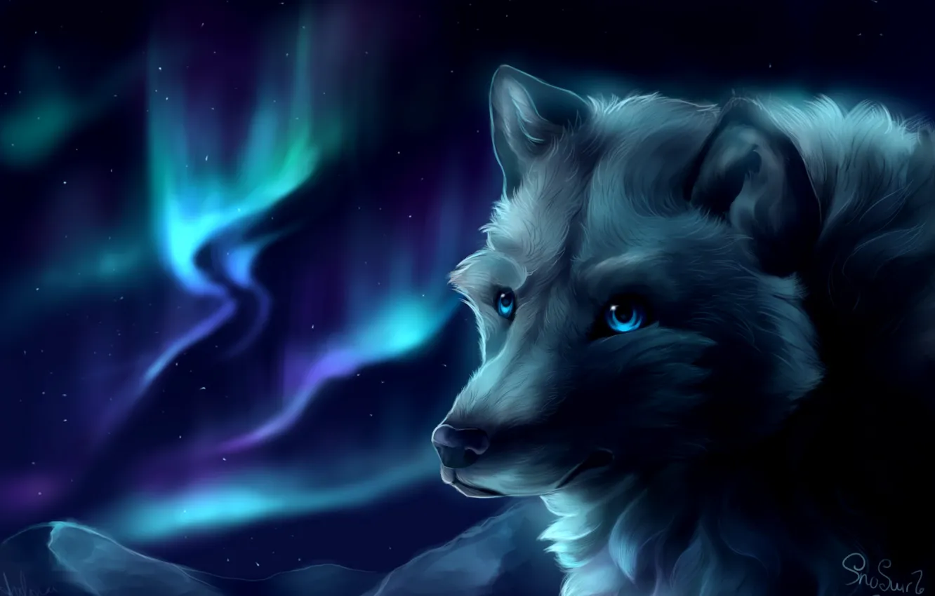 Photo wallpaper mountains, wolf, Northern lights, by SnoSwirl