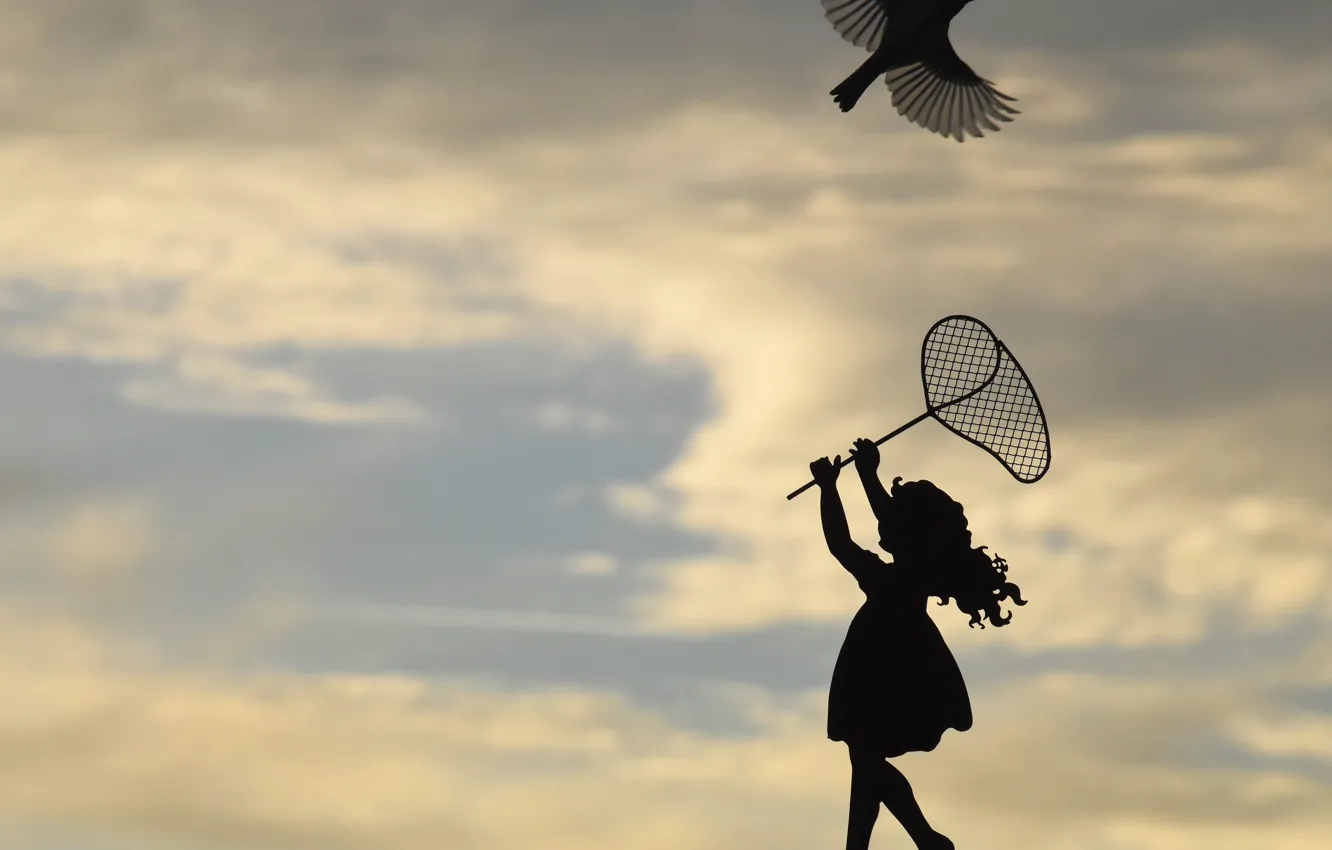 Photo wallpaper the sky, bird, silhouette, the net, girl