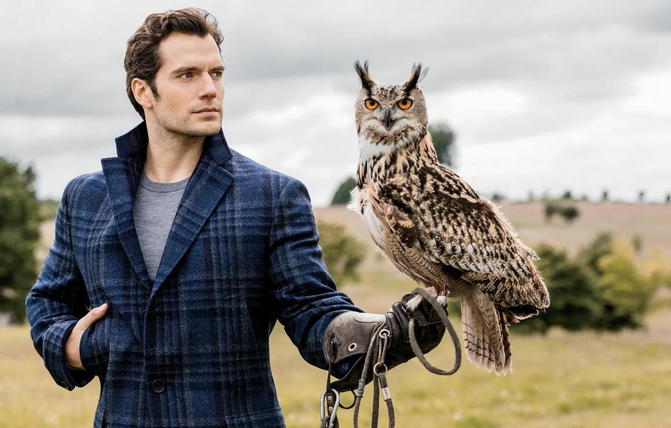 Photo wallpaper owl, owl, Henry Cavill, Henry Cavill, English actor