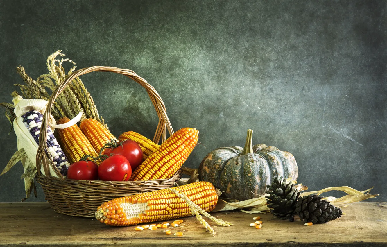 Photo wallpaper corn, pumpkin, still life, bumps, tomatoes