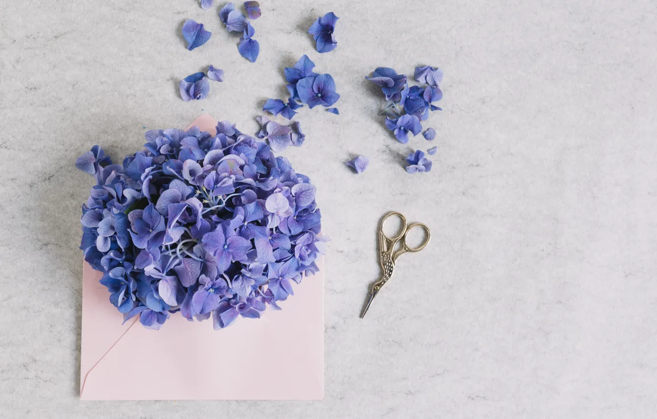 Photo wallpaper flowers, bouquet, Purple, flower, pink, the envelope, decor, hydrangea