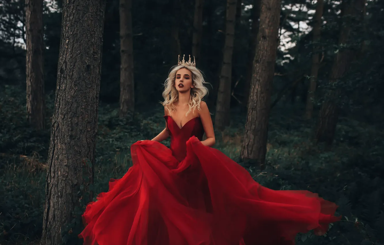 Photo wallpaper forest, girl, crown, dress, in red, Fairy Tale, Bird Man