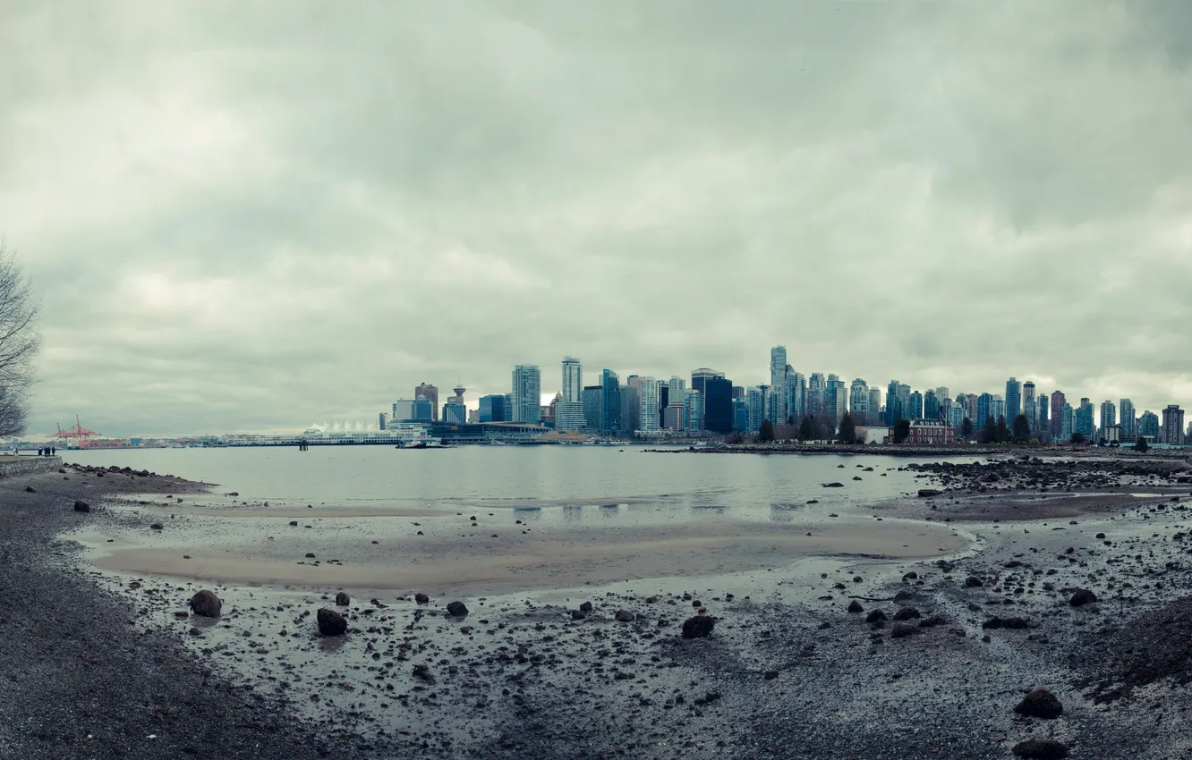 Photo wallpaper trees, the city, lake, panorama