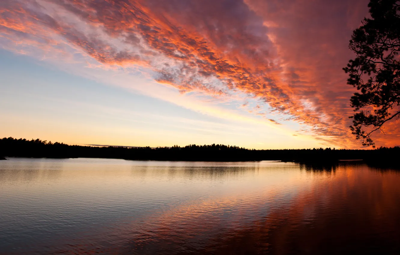Photo wallpaper the sky, sunset, river, the evening, pink