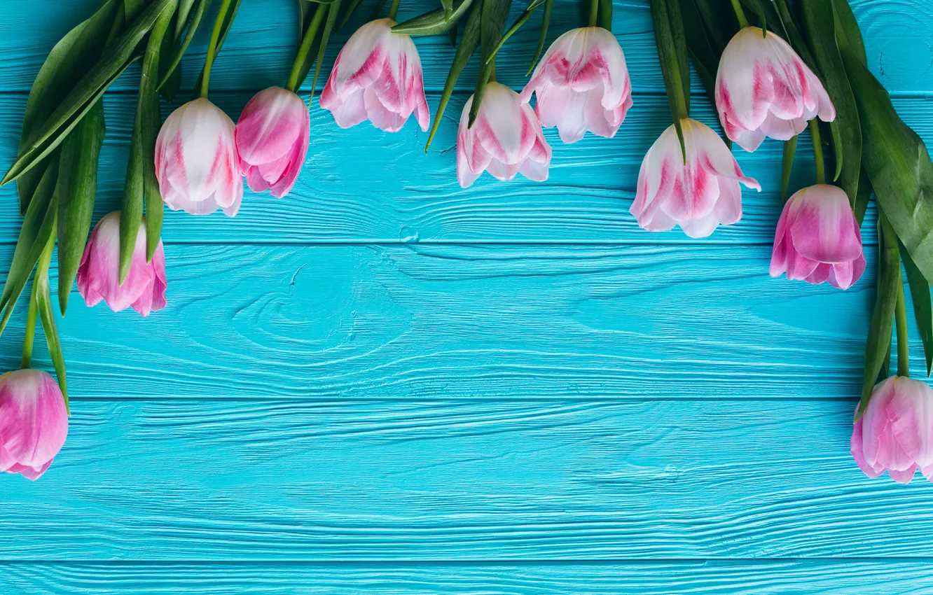 Photo wallpaper flowers, tulips, pink, fresh, wood, pink, flowers, beautiful