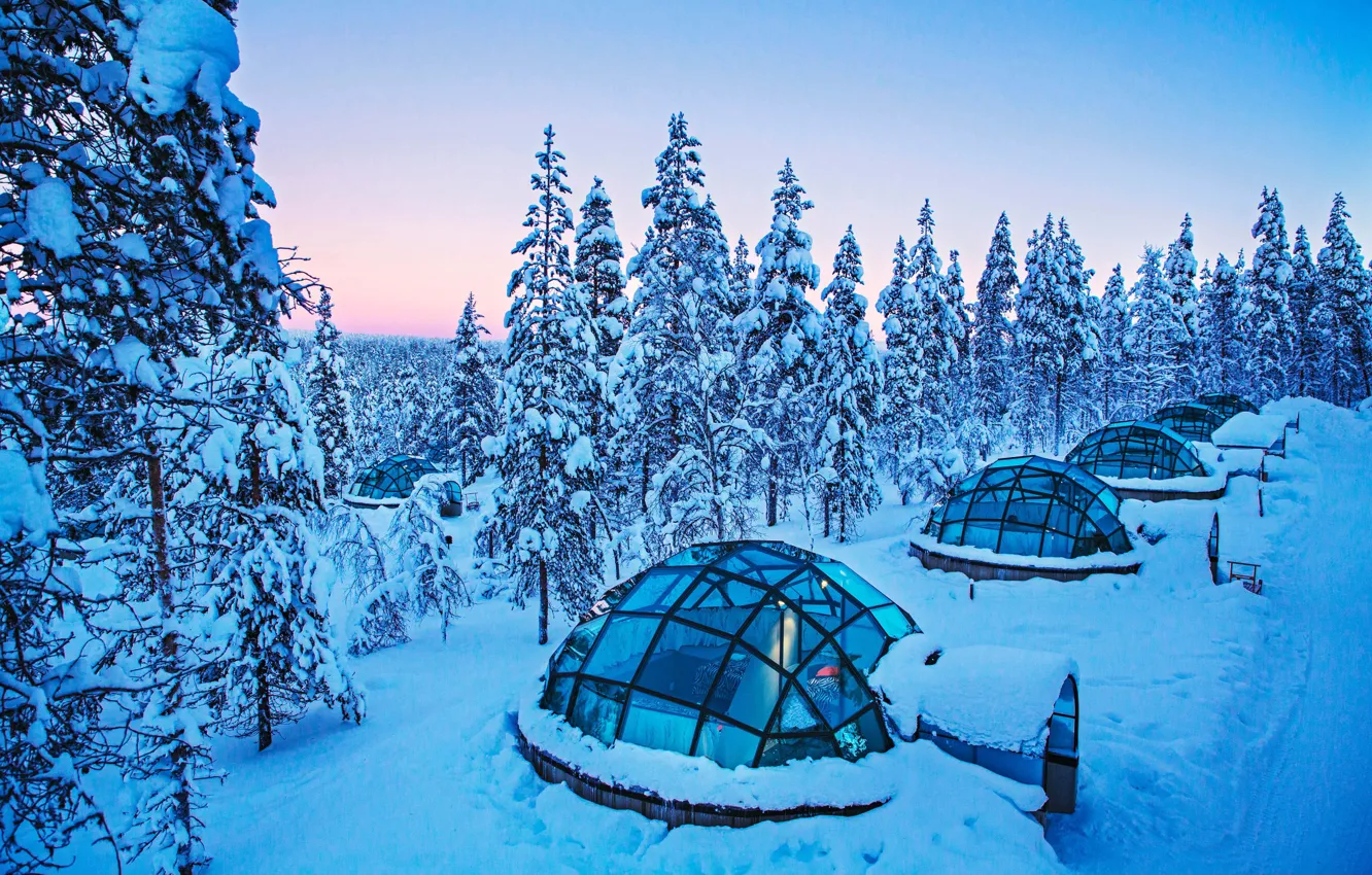 Photo wallpaper Winter, Trees, Snow, Finland, Finland, Lapland, Lapland, Kakslauttanen Arctic Resort