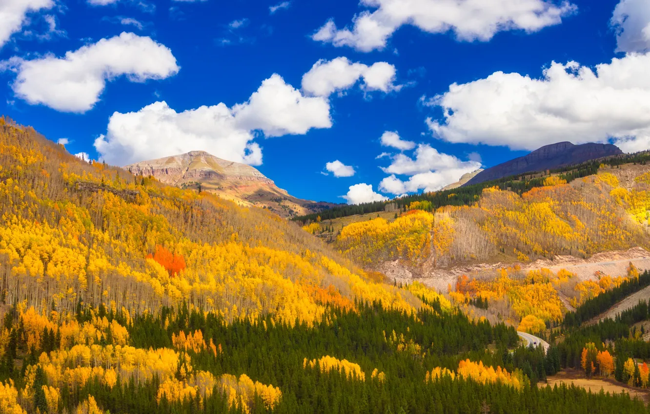 Photo wallpaper autumn, forest, clouds, mountains, Colorado