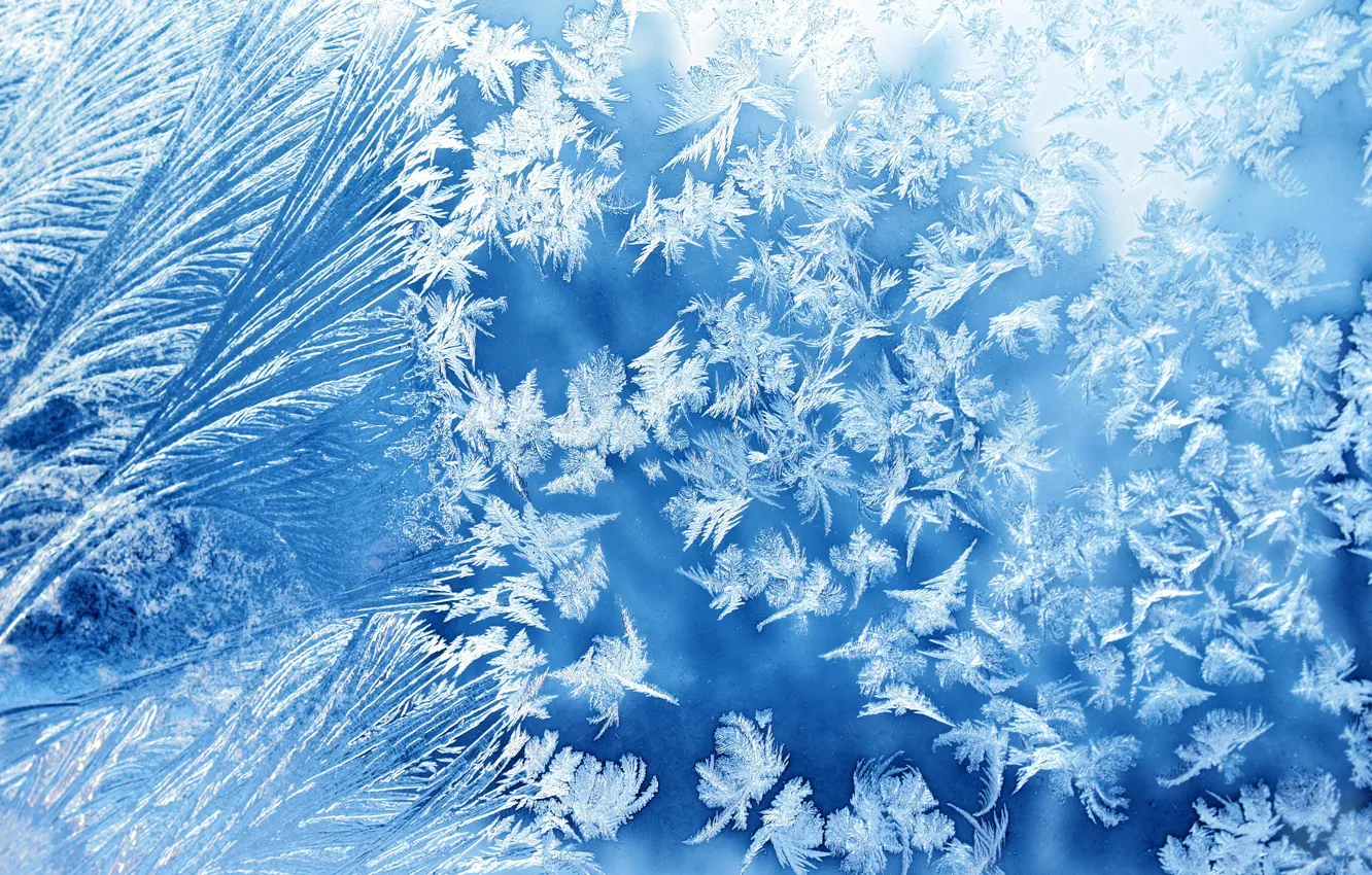 Photo wallpaper winter, frost, glass, frost
