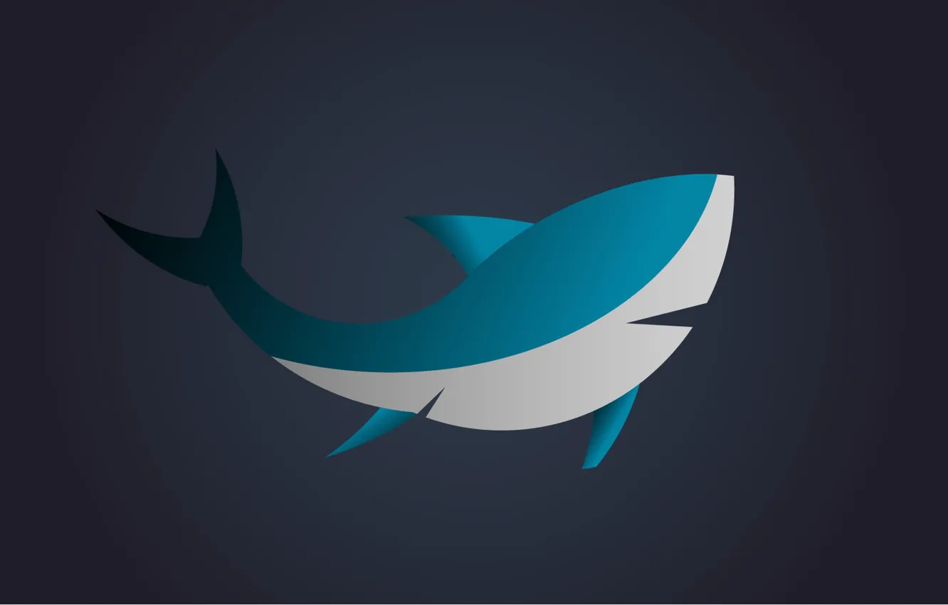 Photo wallpaper blue, animal, minimalism, shark