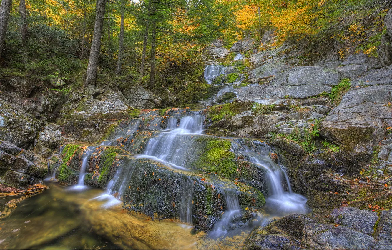 Photo wallpaper autumn, forest, trees, rock, river, waterfall, stream, cascade