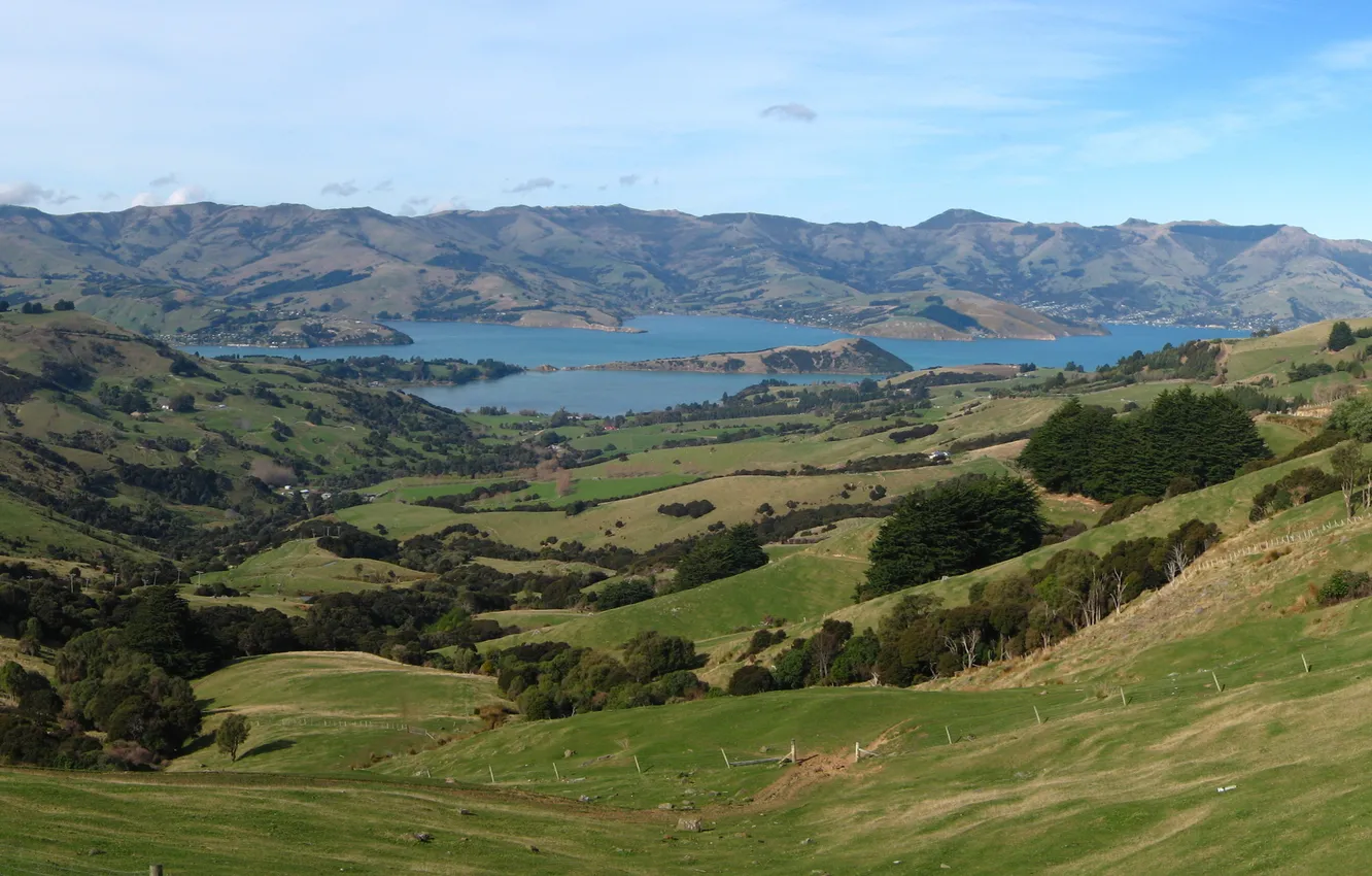 Photo wallpaper road, forest, grass, water, trees, landscape, mountains, nature