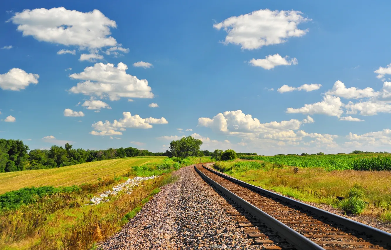 Photo wallpaper greens, rails, railroad