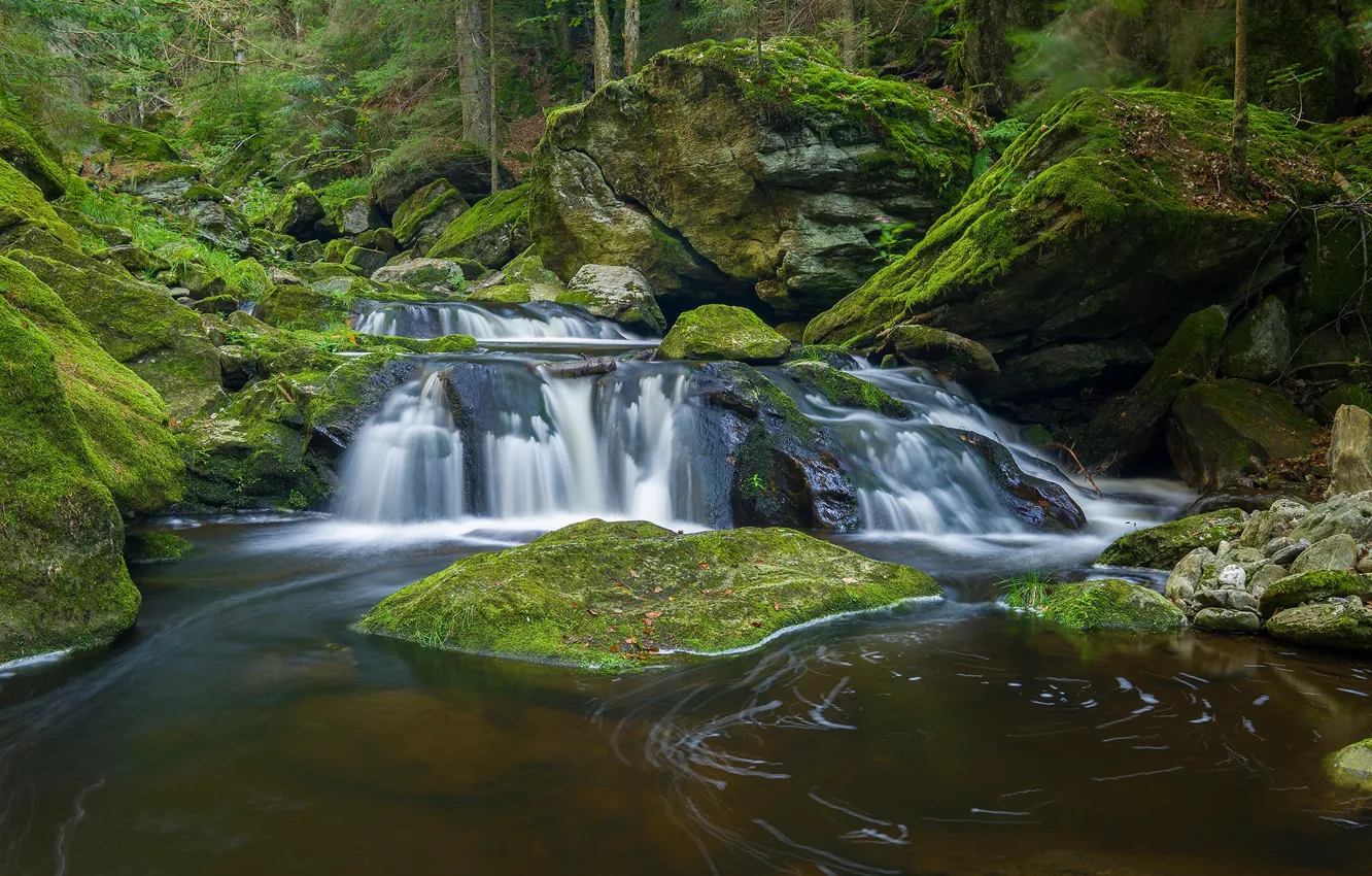 Photo wallpaper forest, river, stones, waterfall, moss, Germany, Bayern, cascade
