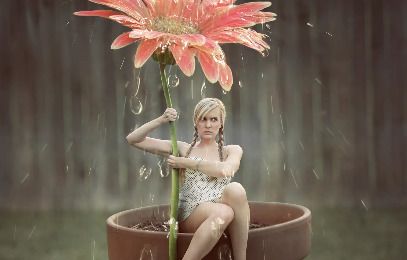 Photo wallpaper flower, girl, drops, art, shower