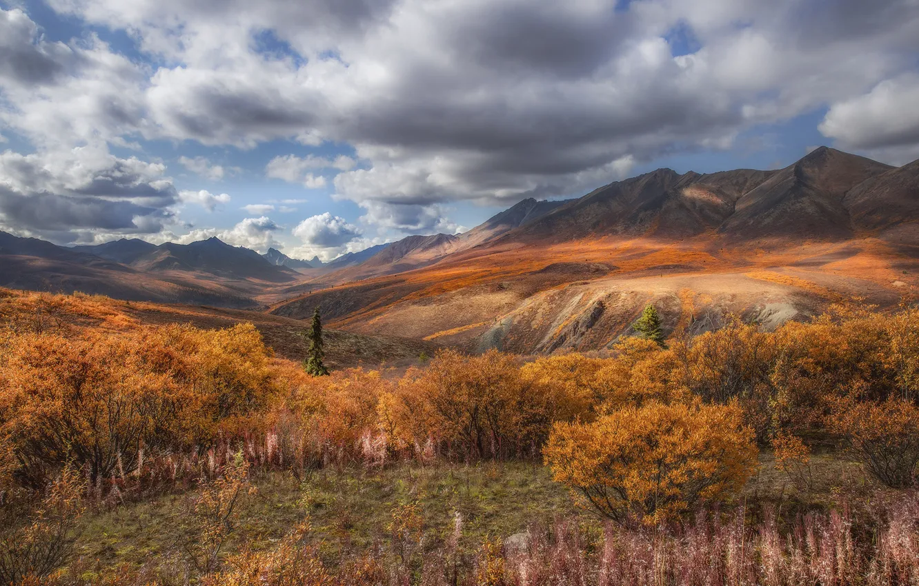 Photo wallpaper autumn, grass, clouds, landscape, mountains, nature, vegetation, valley