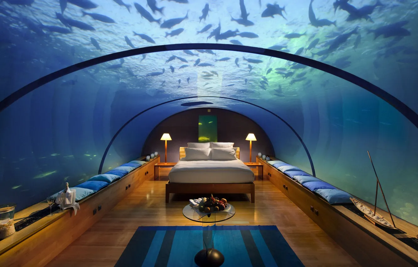 Photo wallpaper inhabitants, bed, apartment, under, underwater, water, want