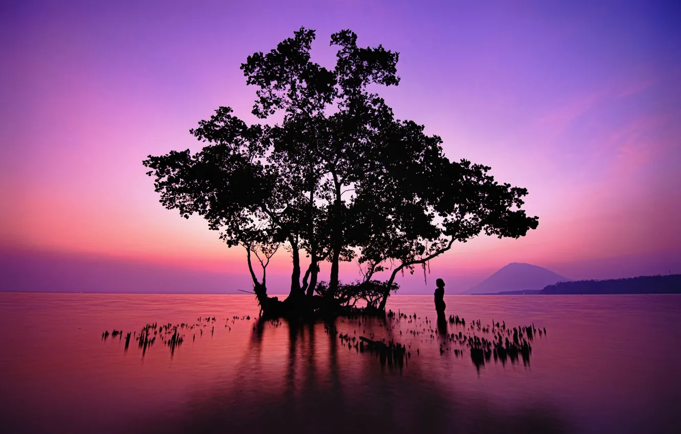 Photo wallpaper girl, trees, mountains, lake, silhouette
