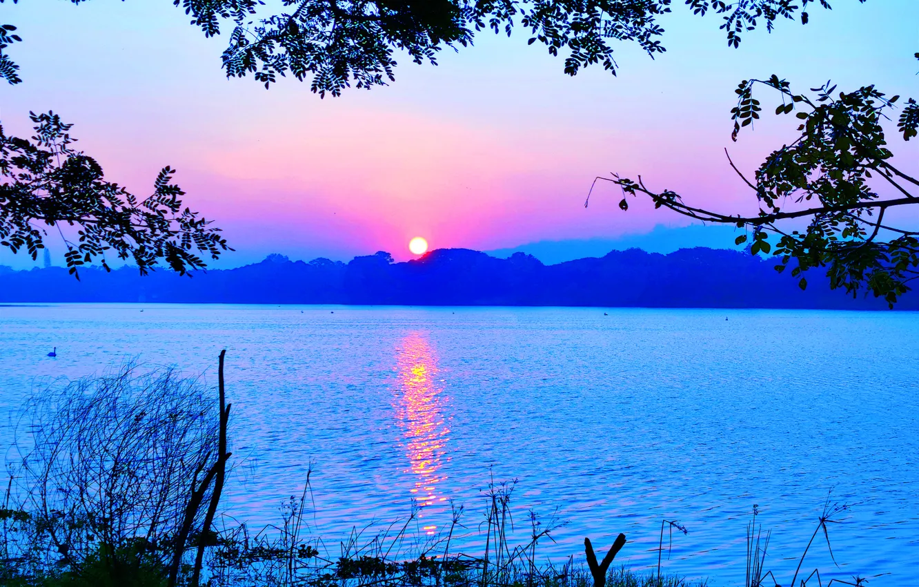 Photo wallpaper sky, trees, water, lake, morning, sun, sunrise, dawn