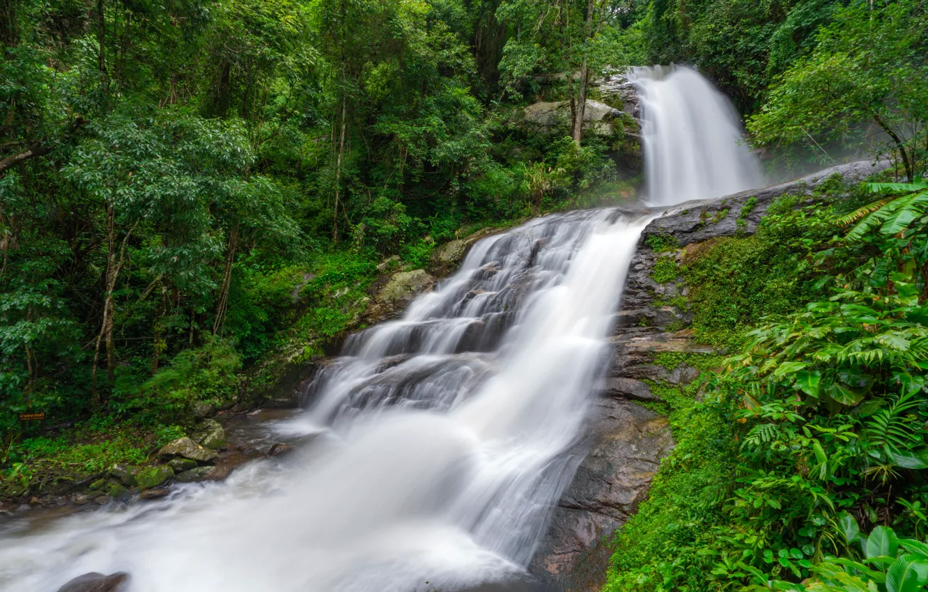 Photo wallpaper greens, forest, summer, rocks, waterfall, stream
