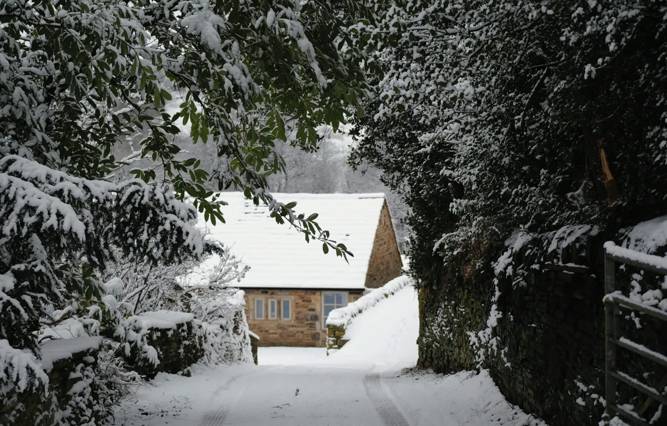 Photo wallpaper nature, nature, Snow trees, Snow Trees, Winter House, Winter House