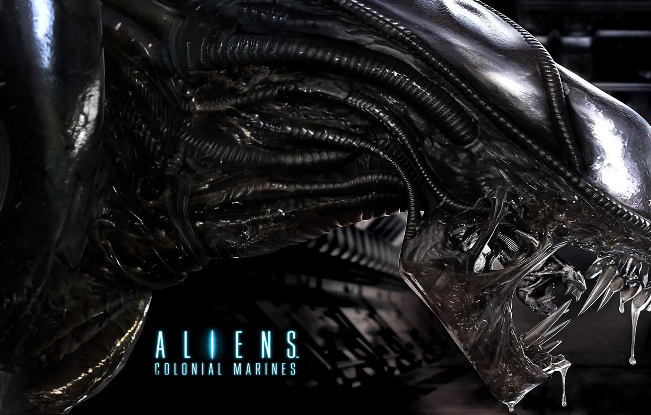 Photo wallpaper monster, logo, Stranger, alien, alien colonial marines