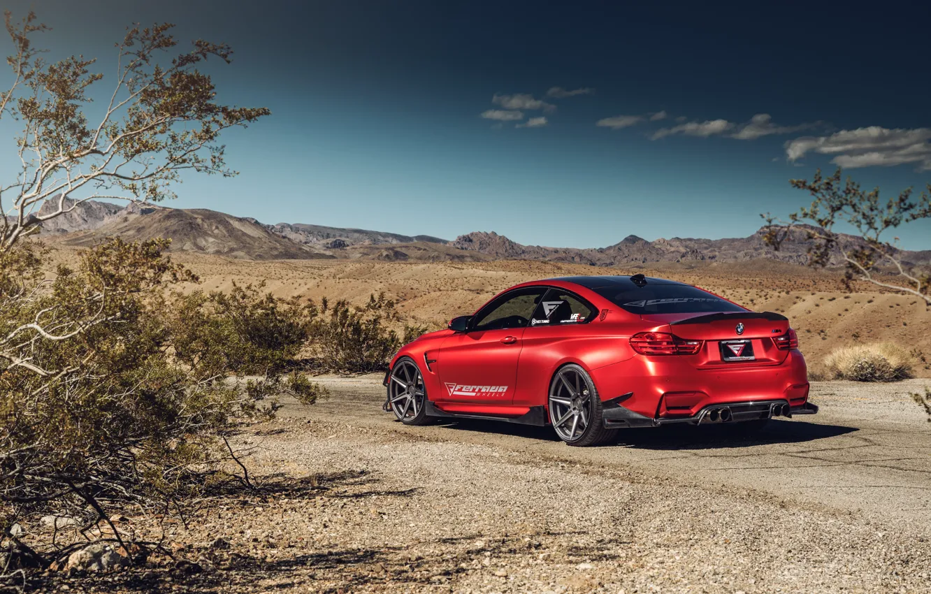 Photo wallpaper auto, red, nature, design, rear view, BMW M4