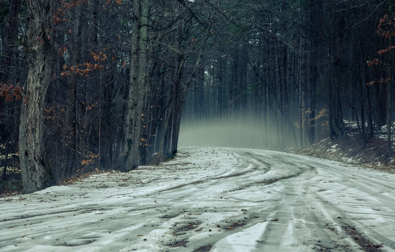 Wallpaper road, autumn, fog for mobile and desktop, section природа ...