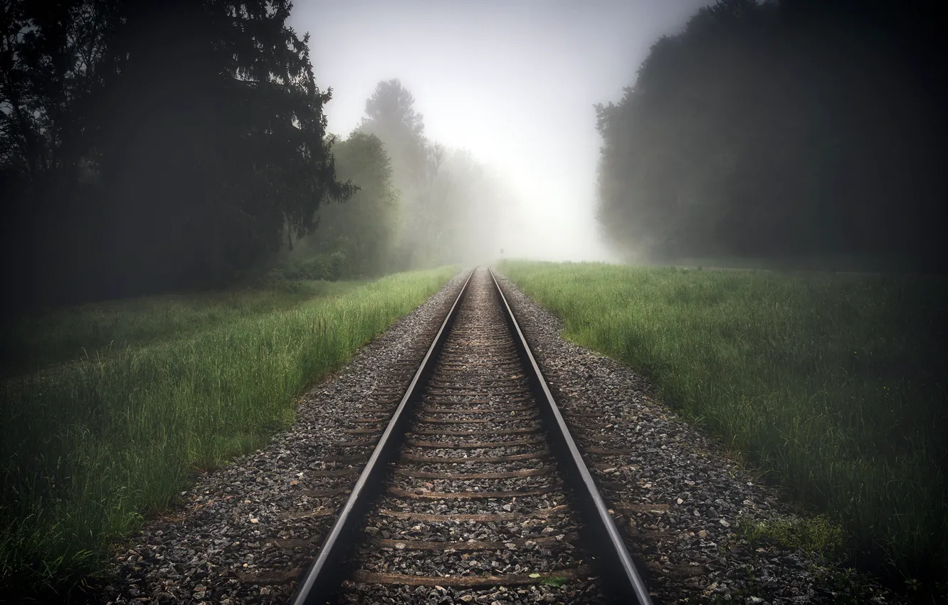 Photo wallpaper forest, grass, trees, fog, rails, railroad, gravel, sleepers