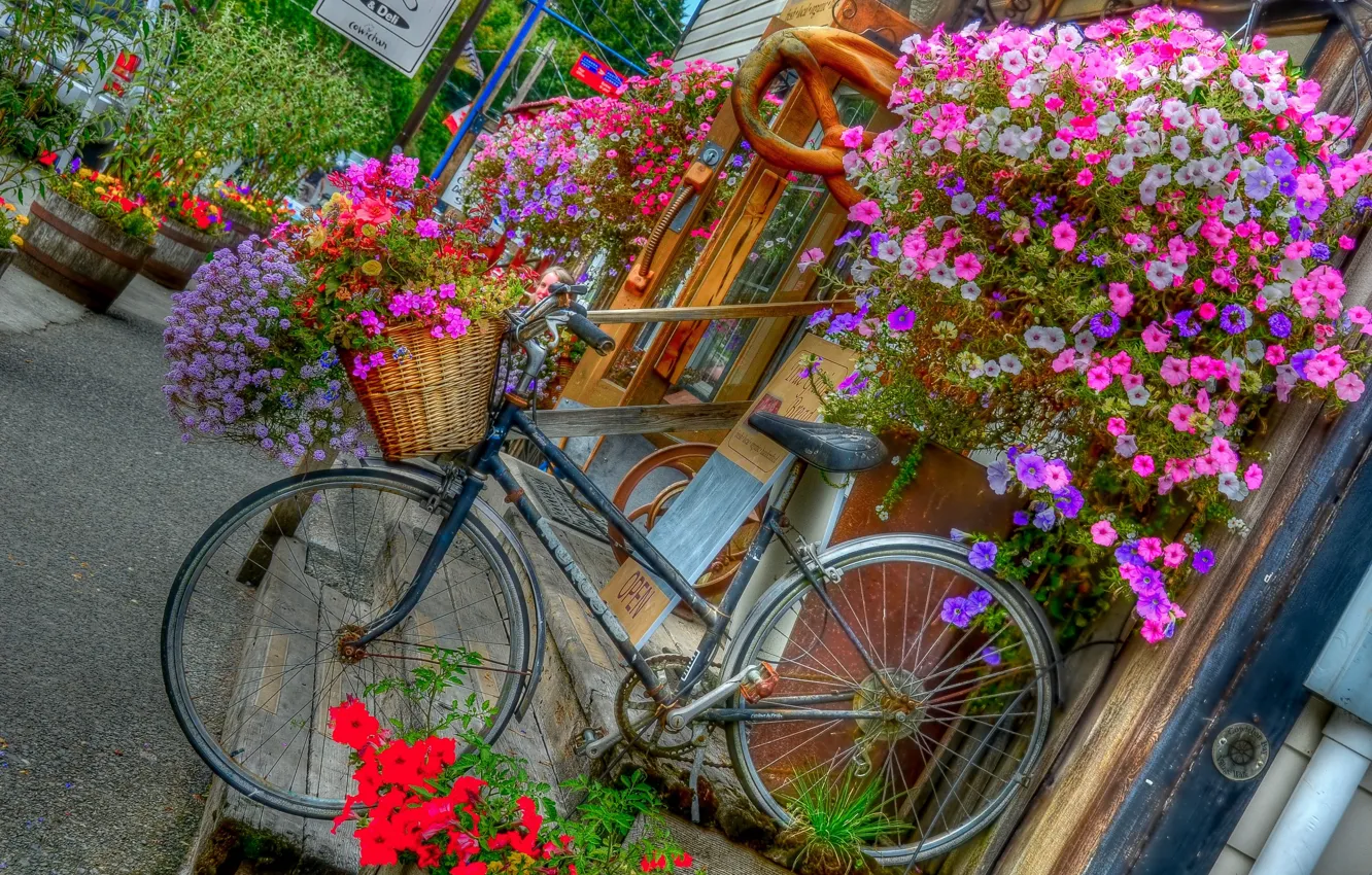 Photo wallpaper flowers, bike, porch, shop, pots