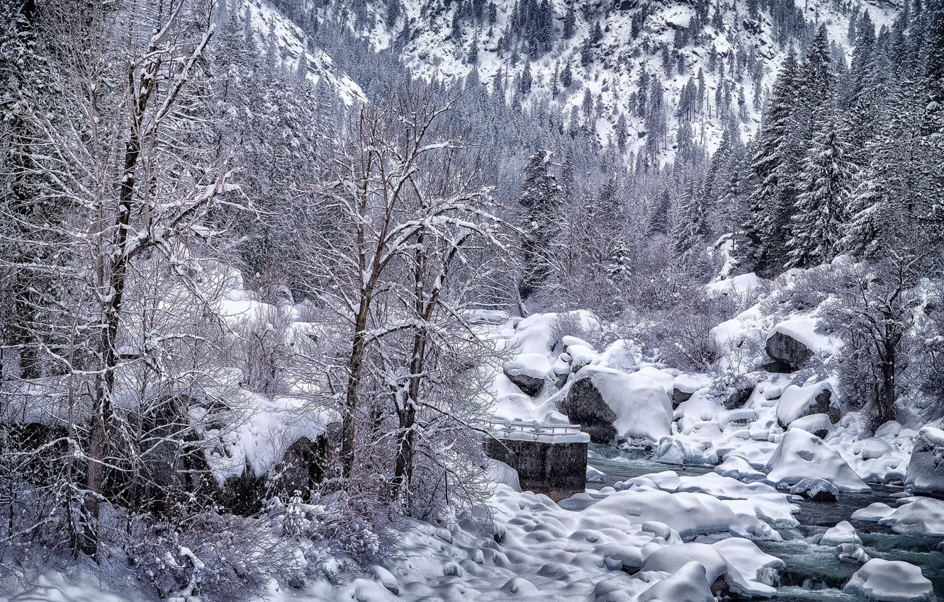 Photo wallpaper winter, snow, trees, landscape, nature, river, beauty
