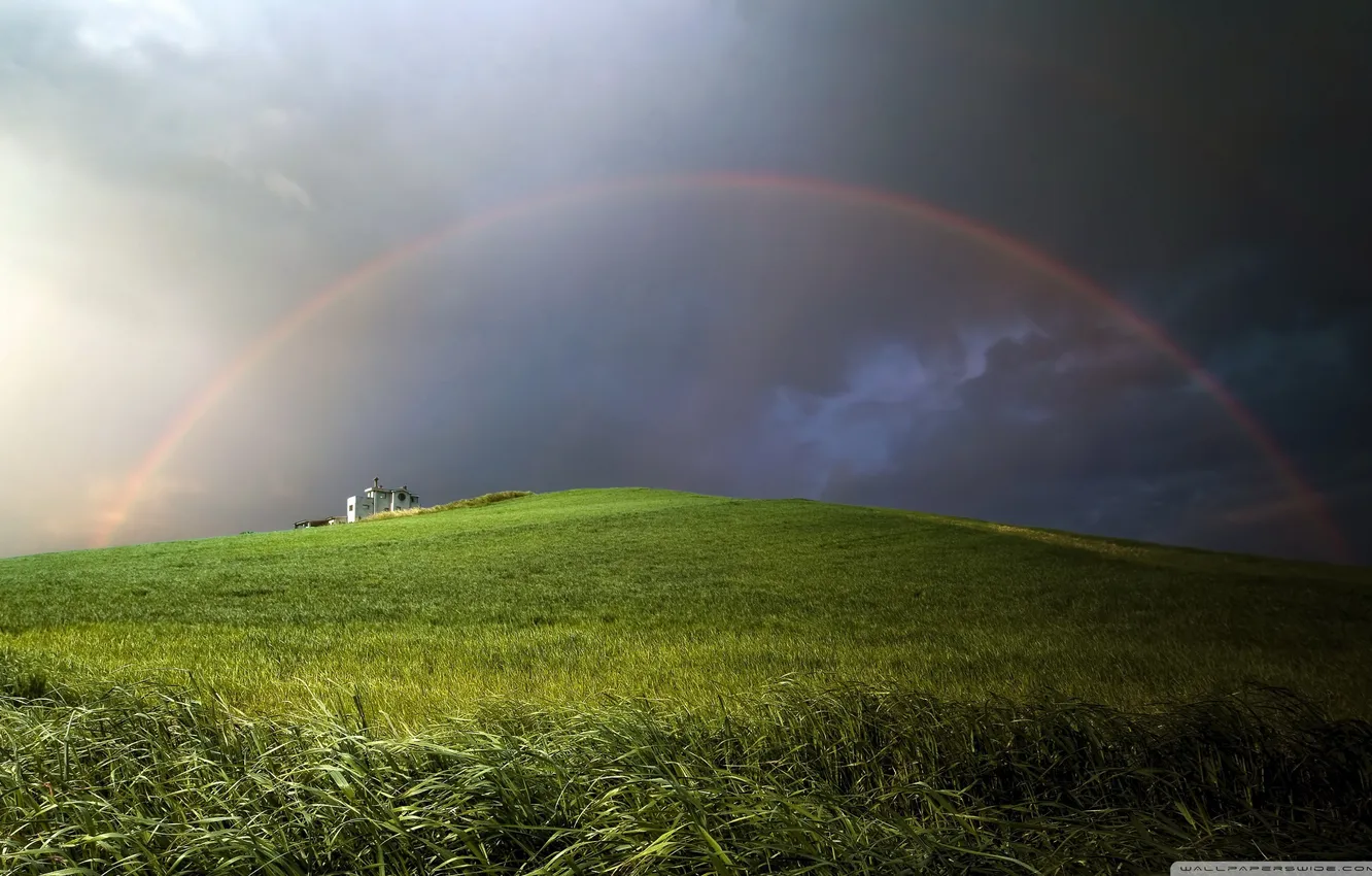 Photo wallpaper grass, rainbow, meadow, space, rainbow, grass, stormy sky, Meadows