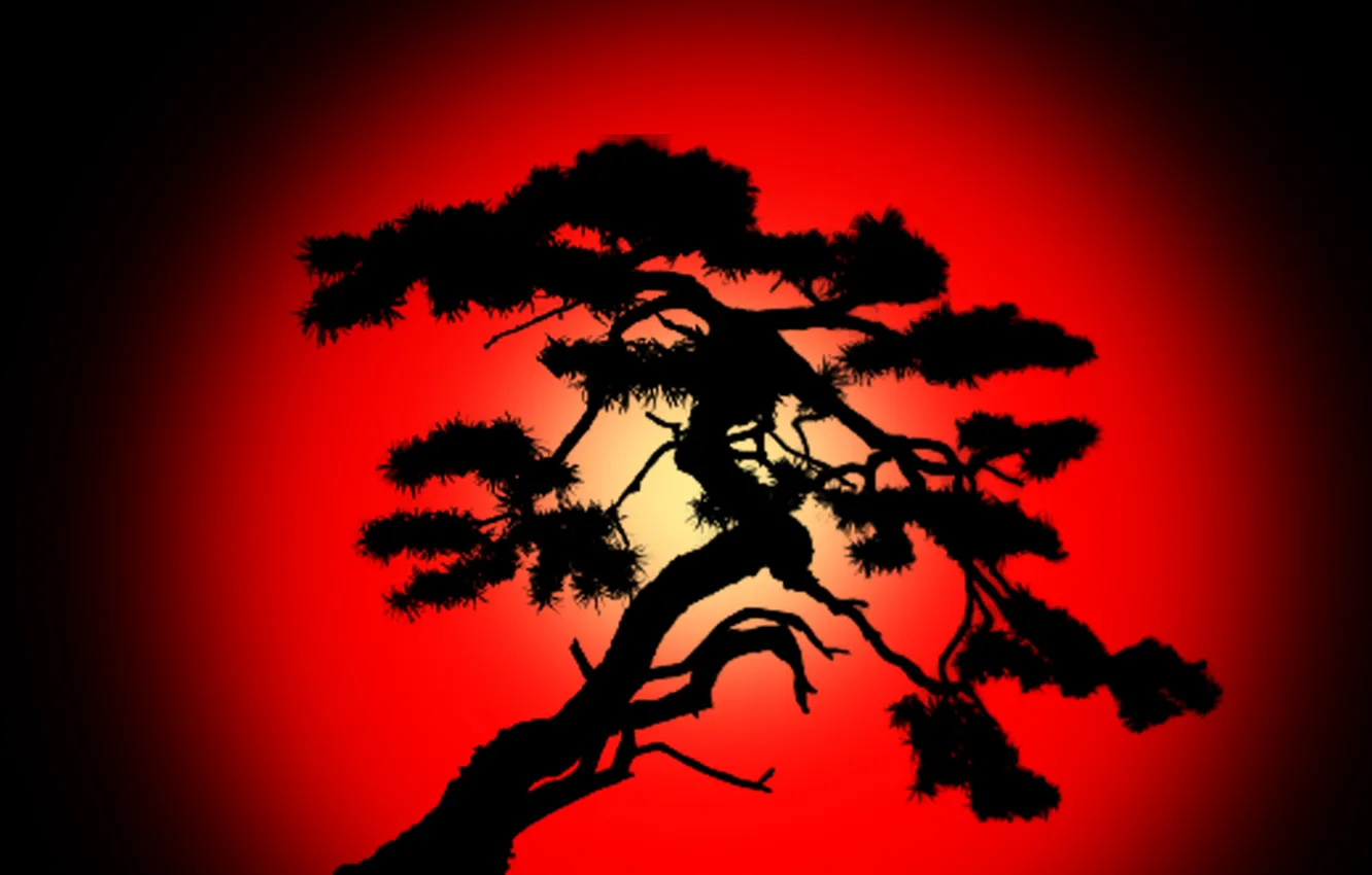 Photo wallpaper colour, darkness, shadow, silhouette of tree