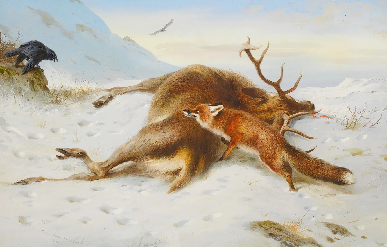 Photo wallpaper Winter, Raven, Fox, Picture, Deer, Archibald Thorburn, Archibald Thorburn,, Is not for pantry