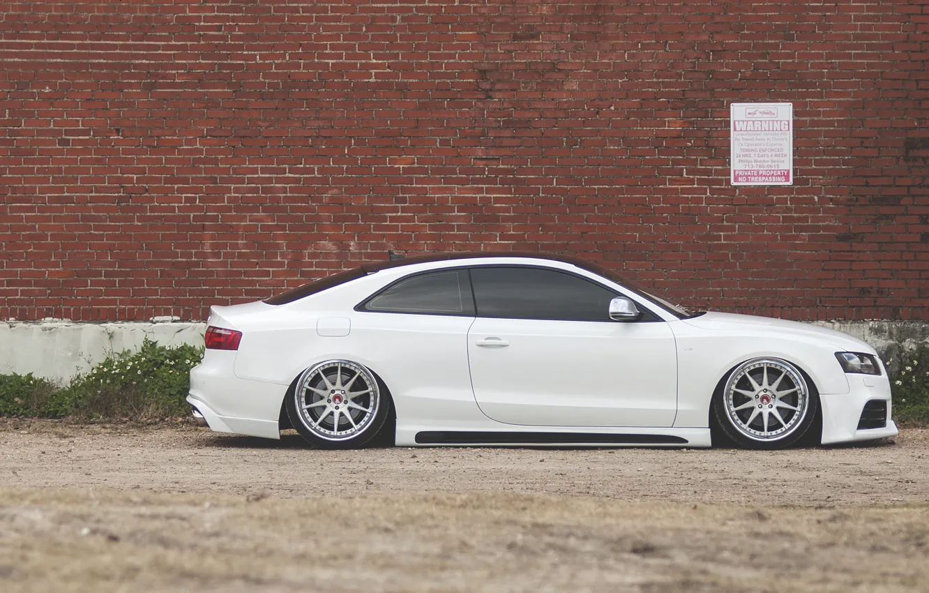 Photo wallpaper Audi, Audi, profile, white, white, low, stance