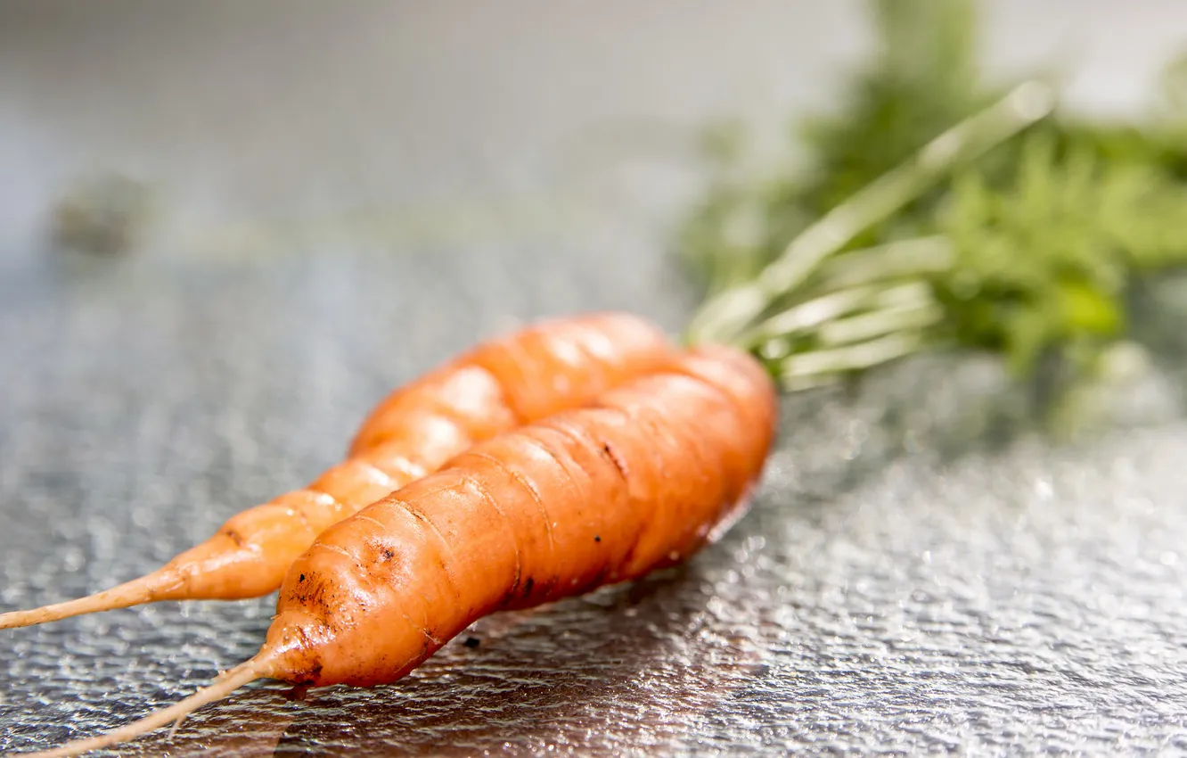 Photo wallpaper macro, food, carrots