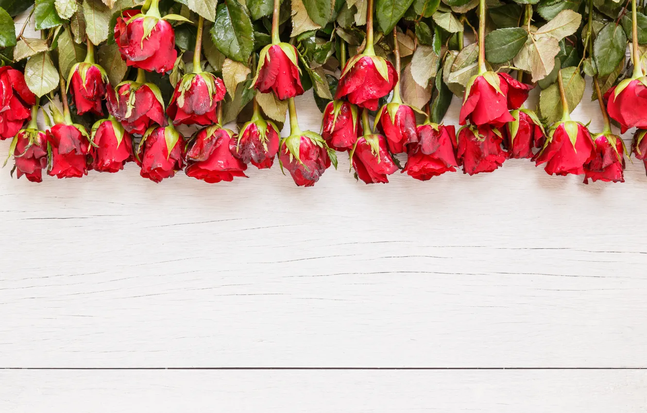 Photo wallpaper flowers, roses, bouquet, red, red, buds, wood, flowers