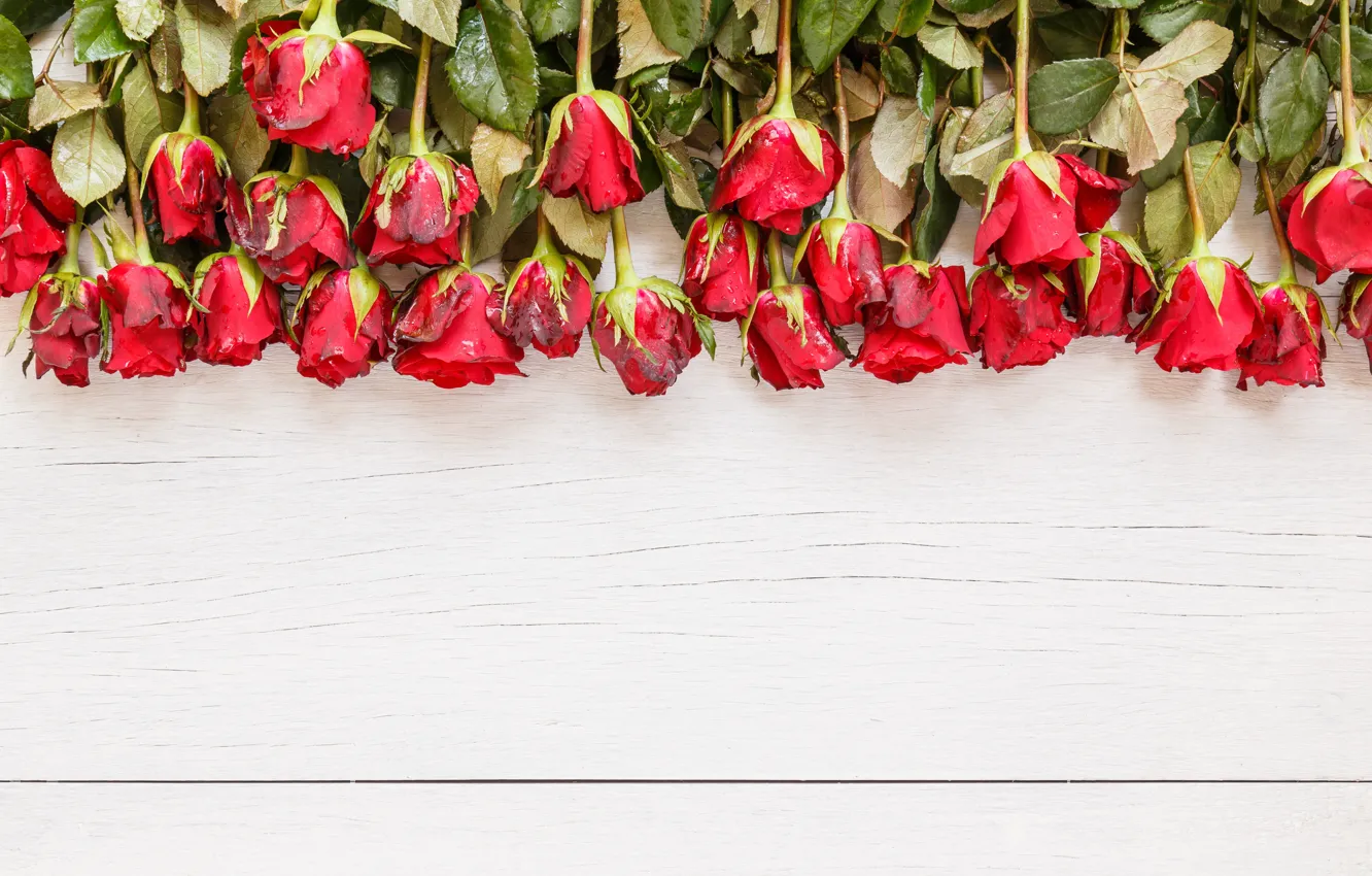Photo wallpaper flowers, red, roses, bouquet, red, buds, wood, flowers