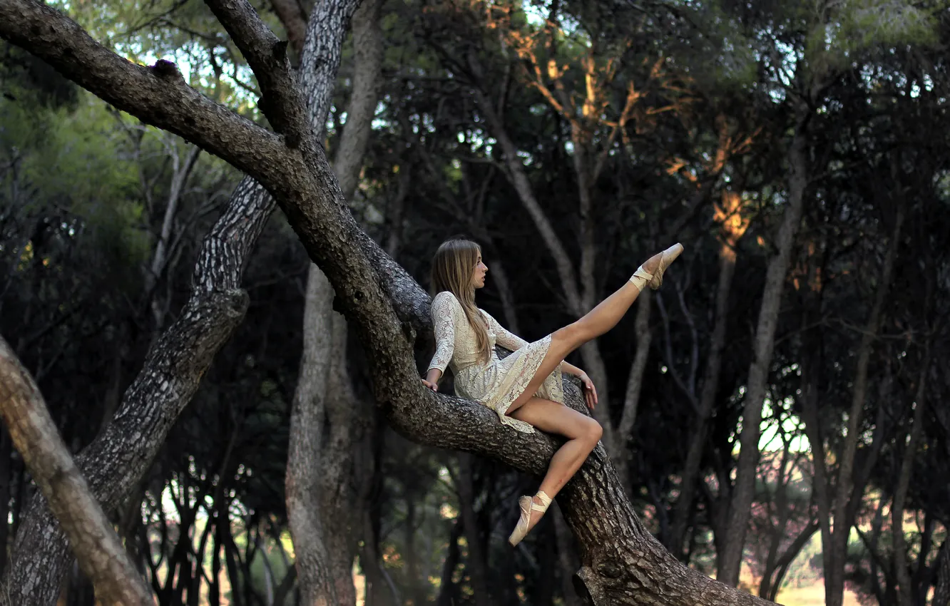Photo wallpaper girl, pose, tree, ballerina, Pointe shoes
