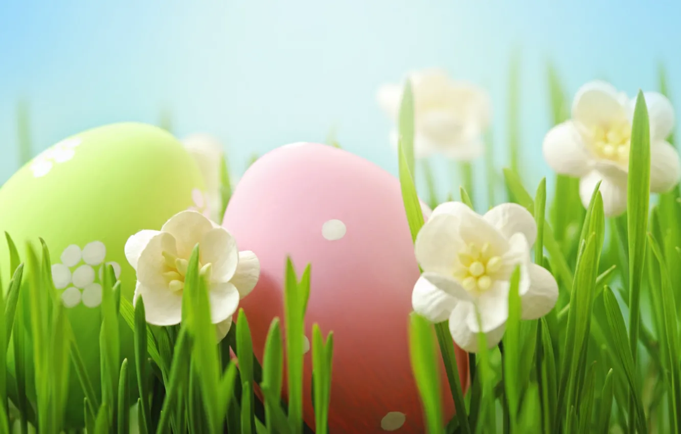 Photo wallpaper grass, flowers, Easter, flowers, spring, Easter, eggs, Happy